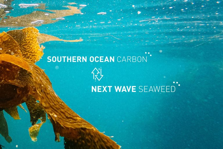 Graphic explaining that Southern Ocean Carbon is now Next Wave Seaweed